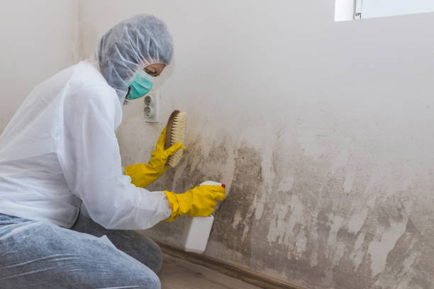 Best Emergency Mold Remediation  in Heathcote, NJ