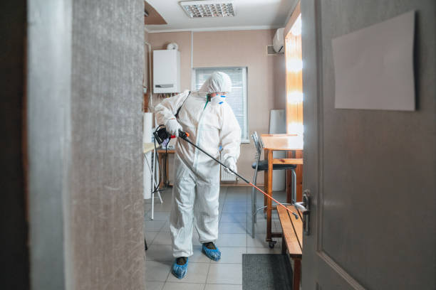 Best Mold Damage Restoration  in Heathcote, NJ