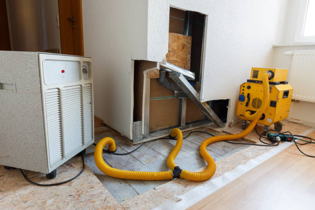 Best Real Estate Mold Inspection  in Heathcote, NJ