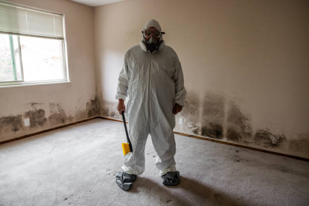 Best Mold Removal for HVAC Installations  in Heathcote, NJ