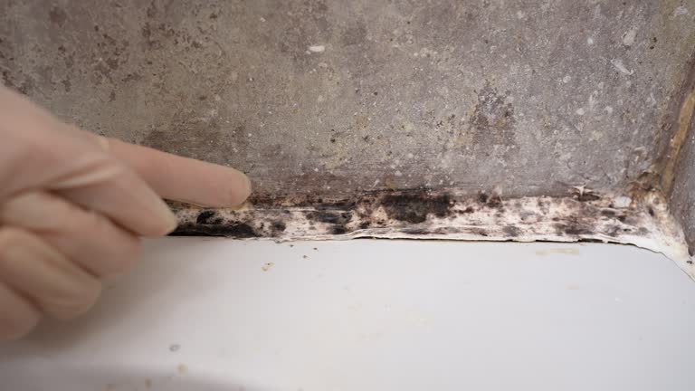 Best Mold Odor Removal Services  in Heathcote, NJ